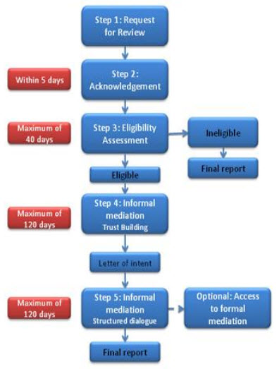 Review Process Flow Chart