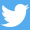 Twitter Logo