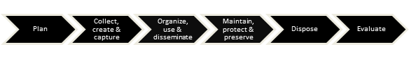 Information Management Life Cycle