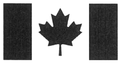 Flag Symbol