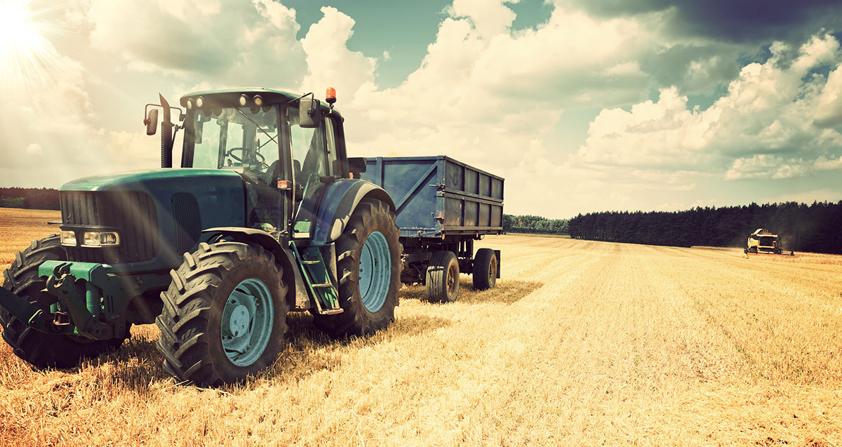 Tractor in harvested wheat field
