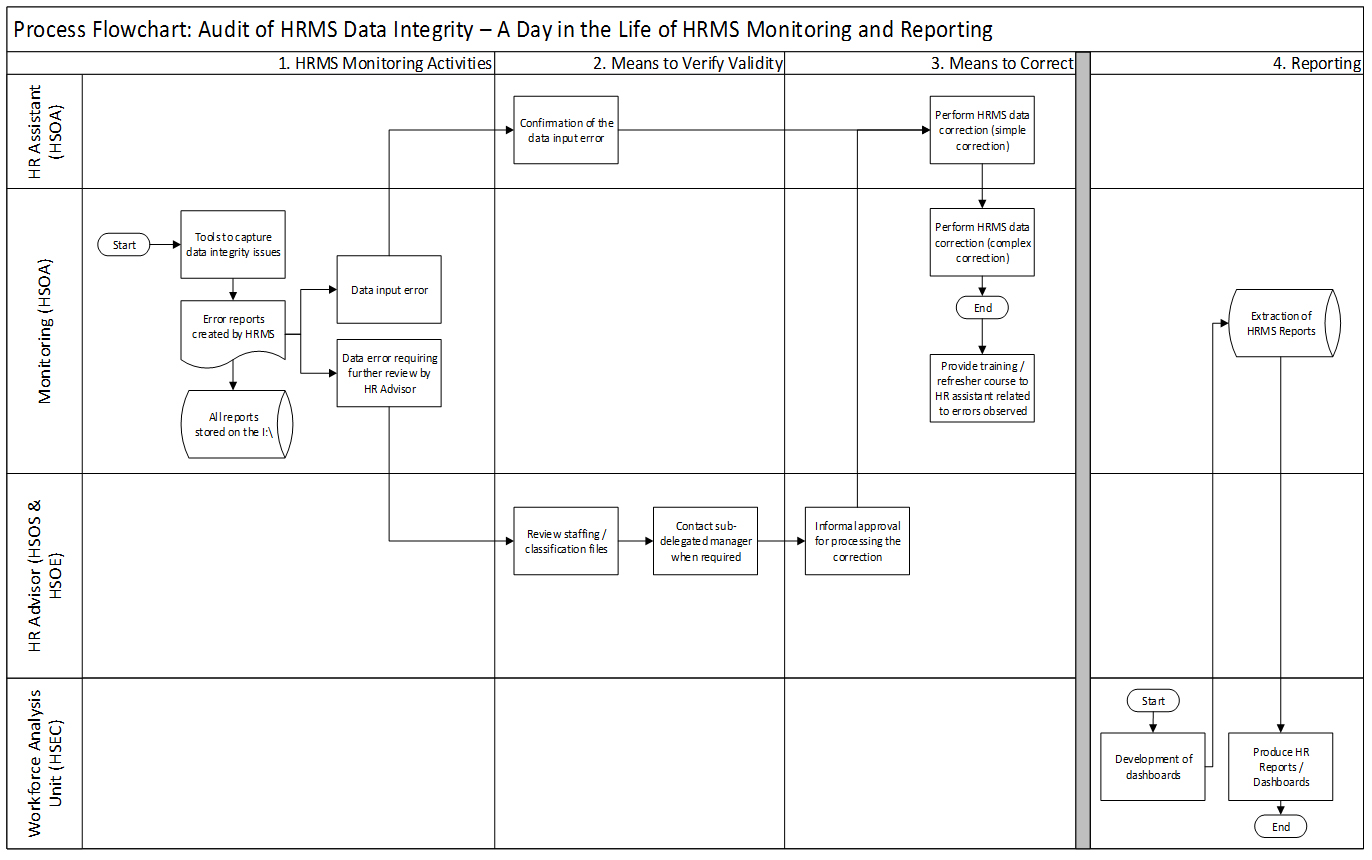 Proccess Flowchart: Audit of HRMS Data Intergrity - A Day in the Life of HRMS Monotoring and Reporting