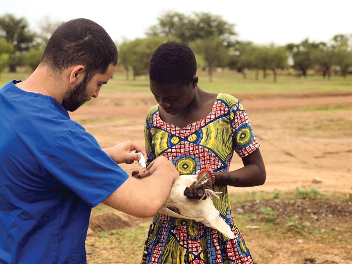 Country: Ghana © Veterinarians Without Borders<br />VWB volunteer Nima Rahimi demonstrates proper poultry vaccination