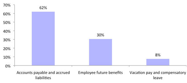 Figure 4: Liability breakdown