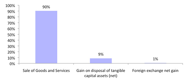 Figure 6: Revenue breakdown