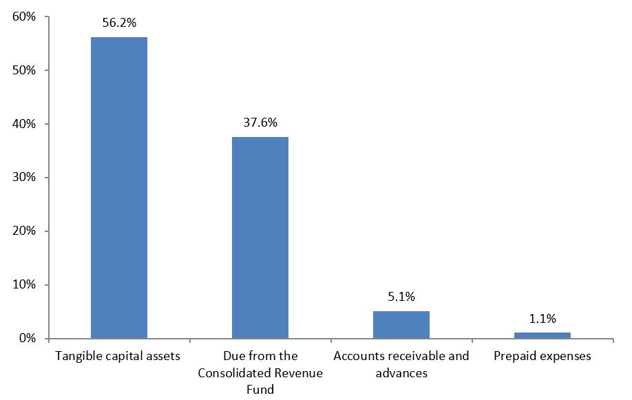 Picture of the bar graph 'Asset breakdown'. Text version below.