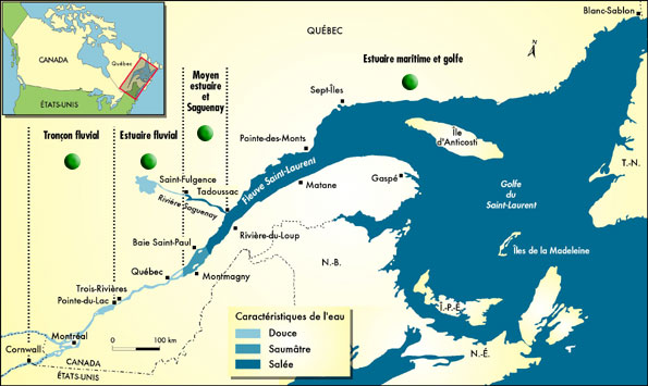 Figure 2 : Le fleuve Saint-Laurent et le golfe du Saint-Laurent