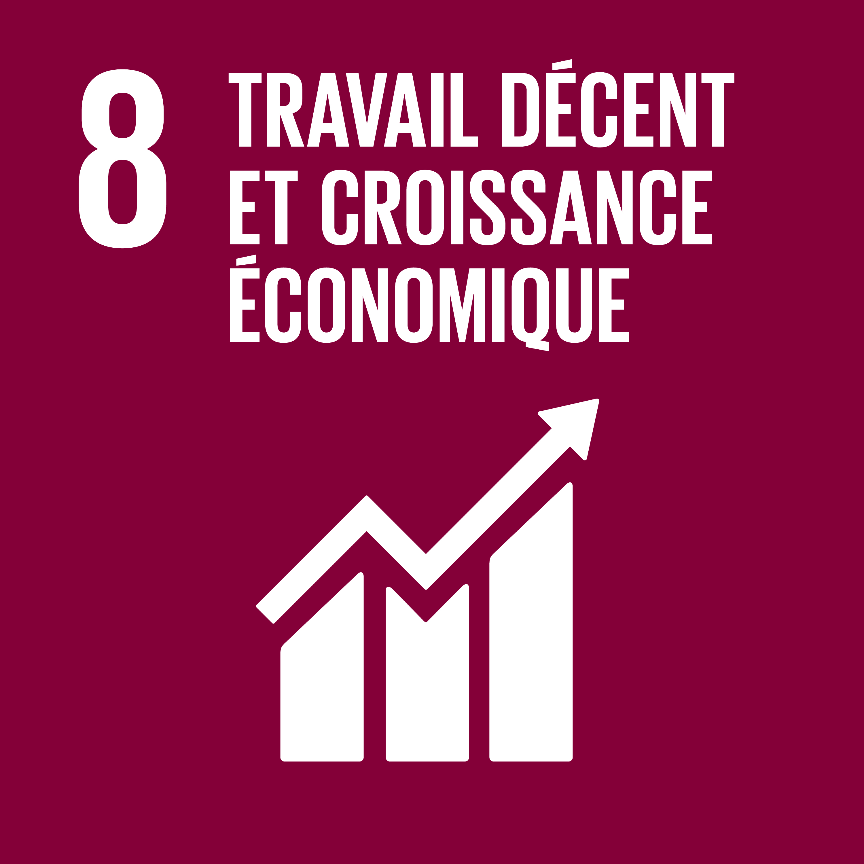 Objectif 8 – Le travail décent et la croissance économique 