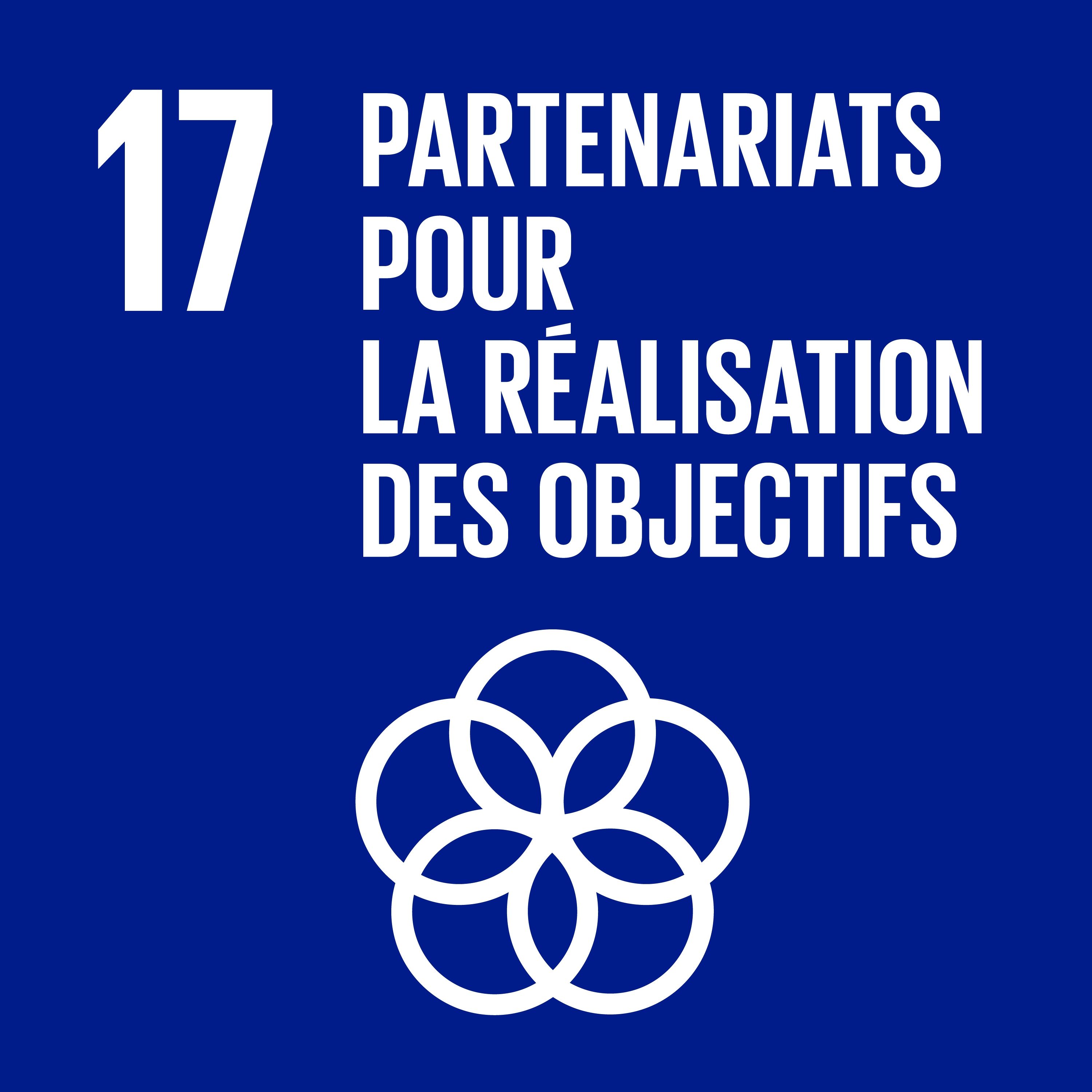 Objectif 17 – Partenariats pour la réalisation des objectifs 