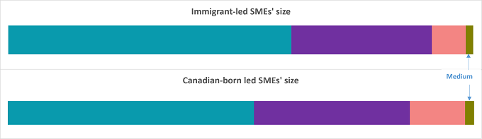 Figure 6 - SME size, Immigrant and Canadian-born led SMEs in Canada, in 2017