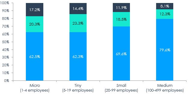 Figure 4 – Distribution of Gender of Ownership of SMEs by Enterprise Size, 2017