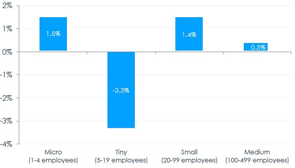 Figure 5 – Change in the distribution of women-owned SMEs by enterprise size, 2011-2017