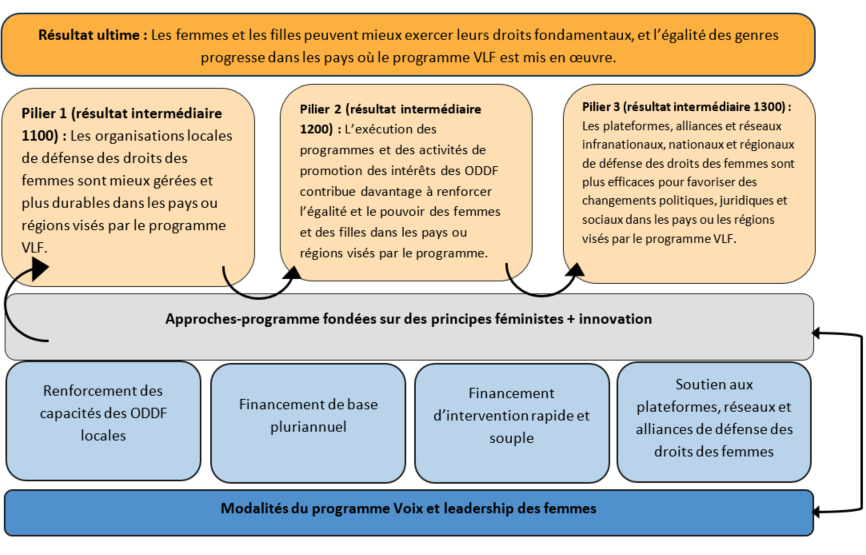 Figure 10 : Théorie du changement du programme VLF