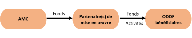 Modèle 1 (p. ex. : Colombie, Afrique du Sud)