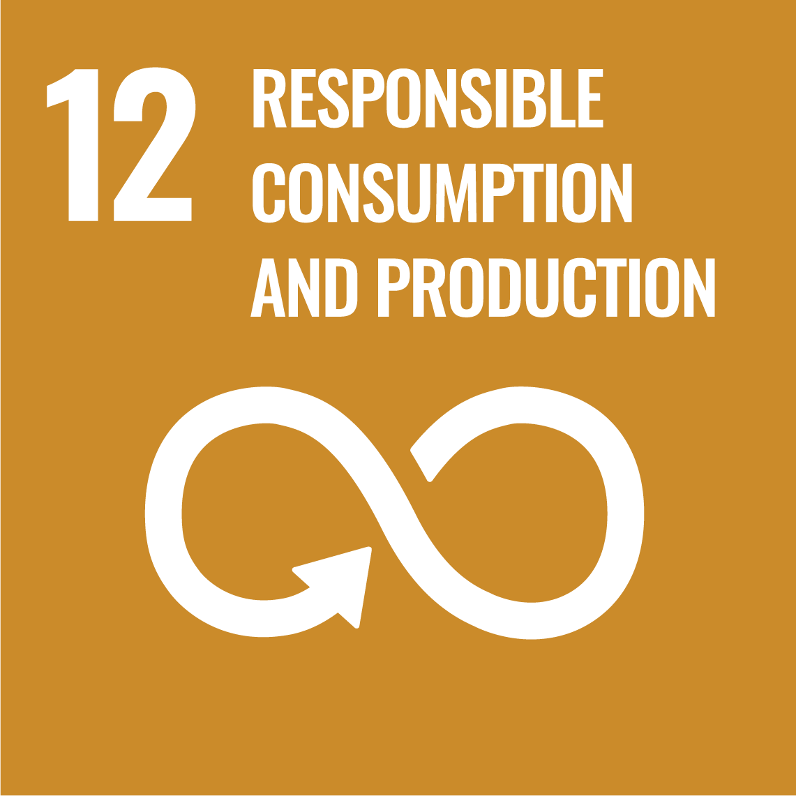Sustainable Development Goals 12 - Responsible consumption and production