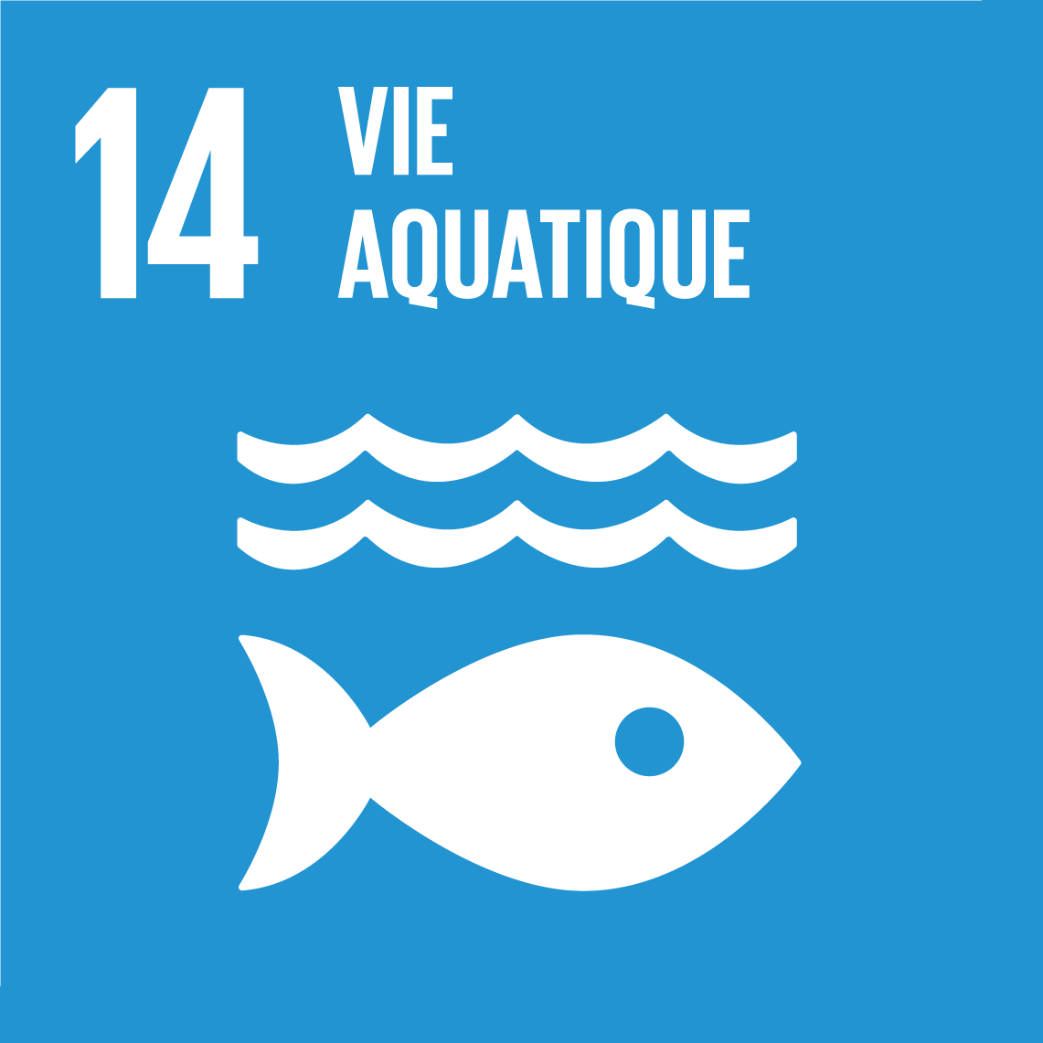 Objectifs de développement durable 14 - Vie aquatique