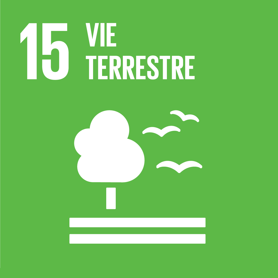 Objectifs de développement durable 15 - Vie terrestre