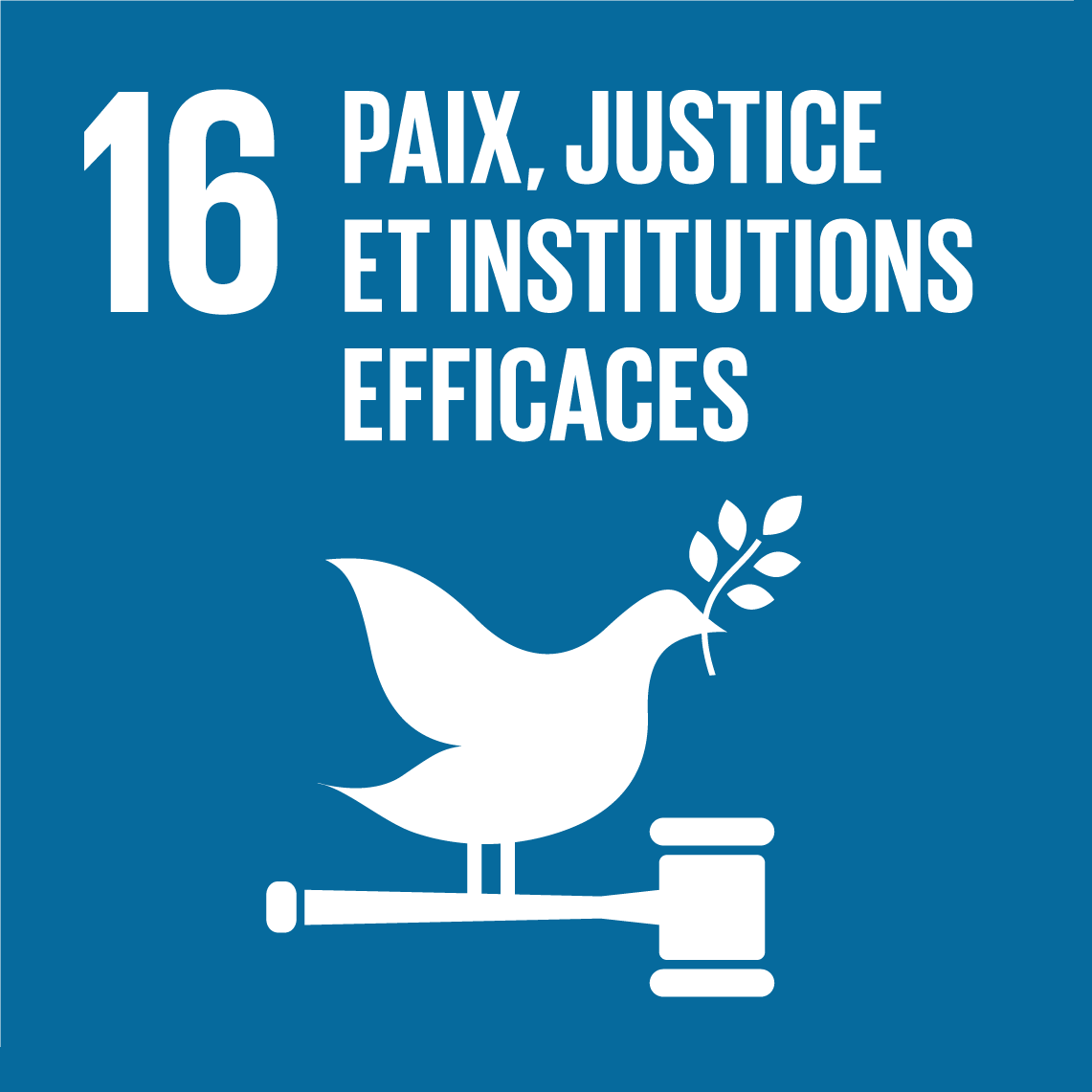 Objectifs de développement durable 16 - Paix, justice et institutions efficaces