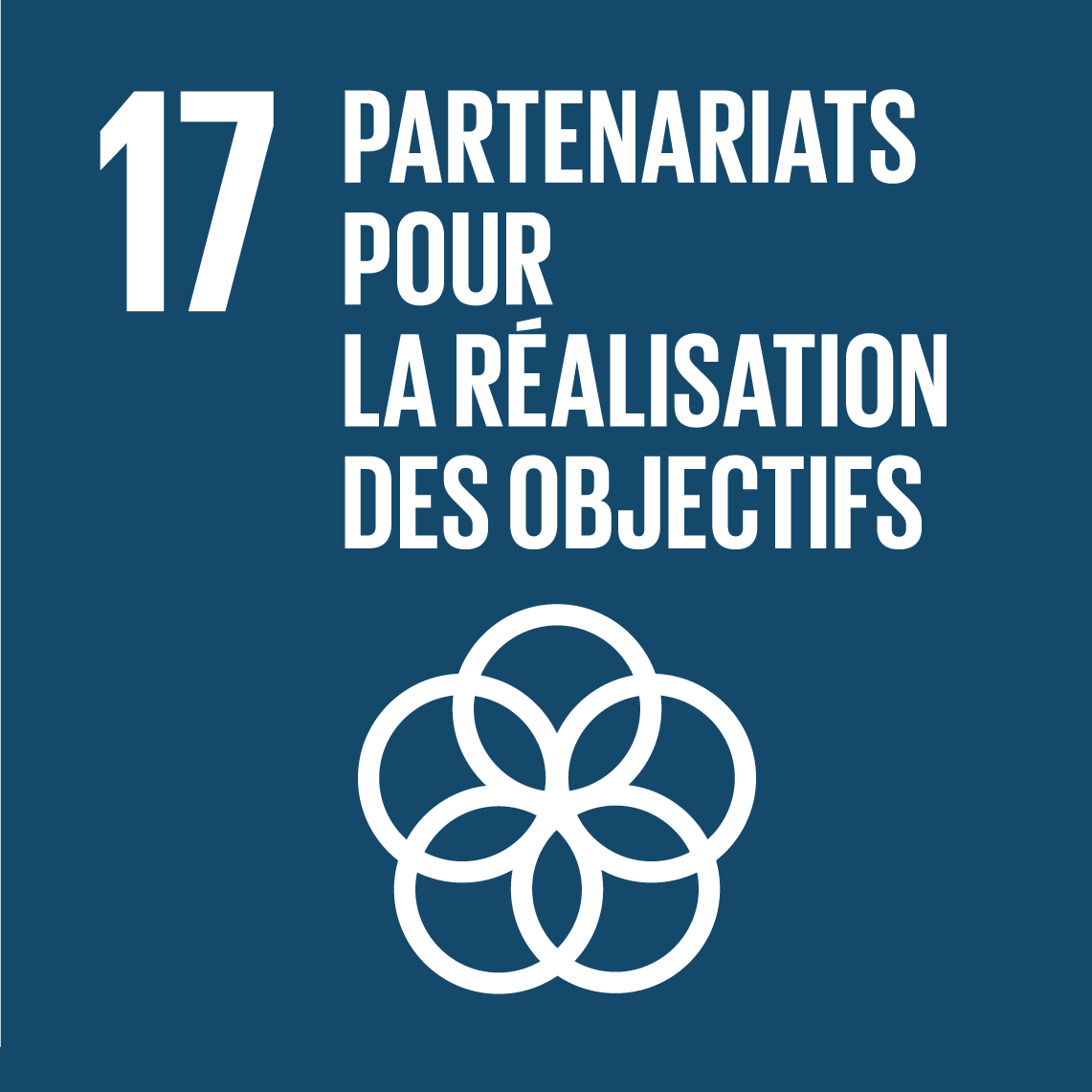 Objectifs de développement durable 17 - Partenariats pour la réalisation des objectifs