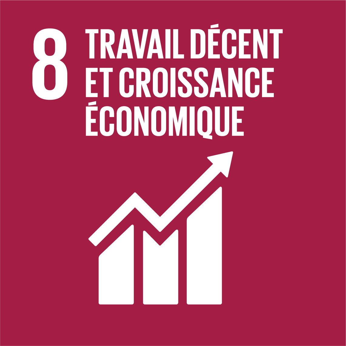 Objectifs de développement durable 8 - Travail décent et croissance économique