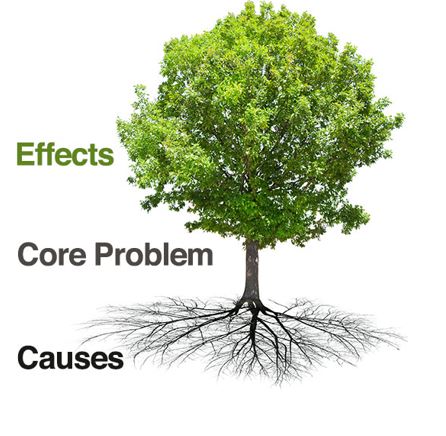 Figure 6 - The Problem Tree