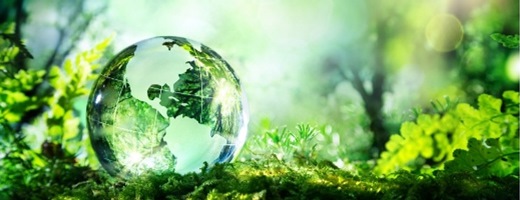 global environmental protection essay